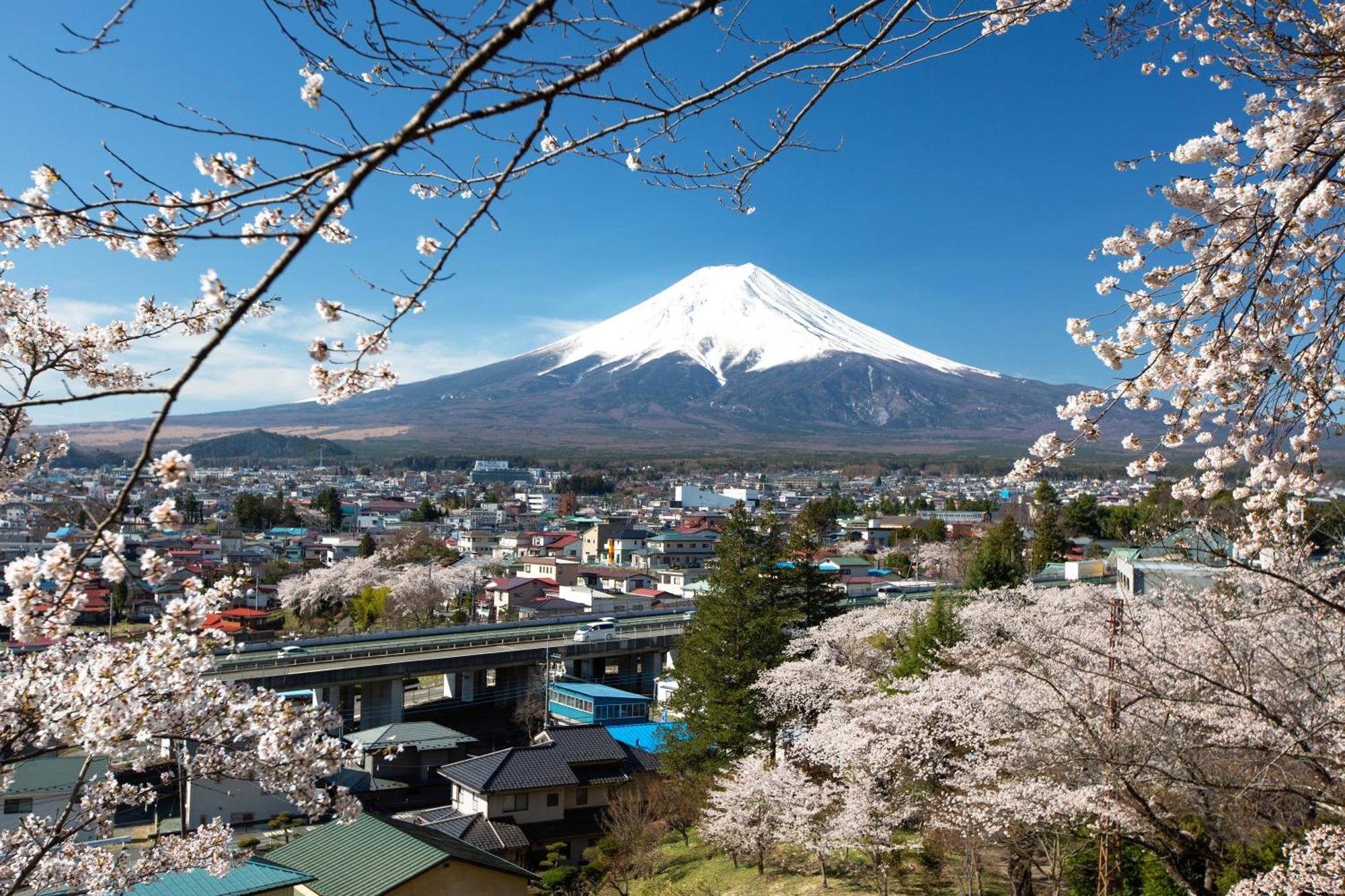 SORAPIA Villa Mt.FUJI Front Fujikawaguchiko Esterno foto